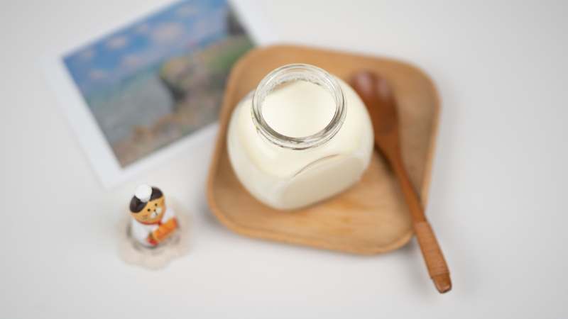 Homepage for Home Improvement Kitchen Appliances & Tools yogurt makers